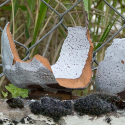 auch das gehört dazu